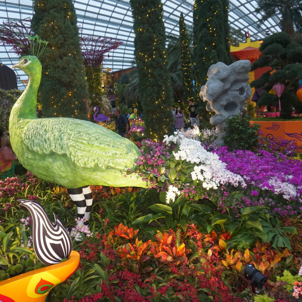 DSC05846