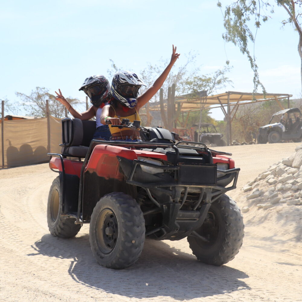 CABO53
