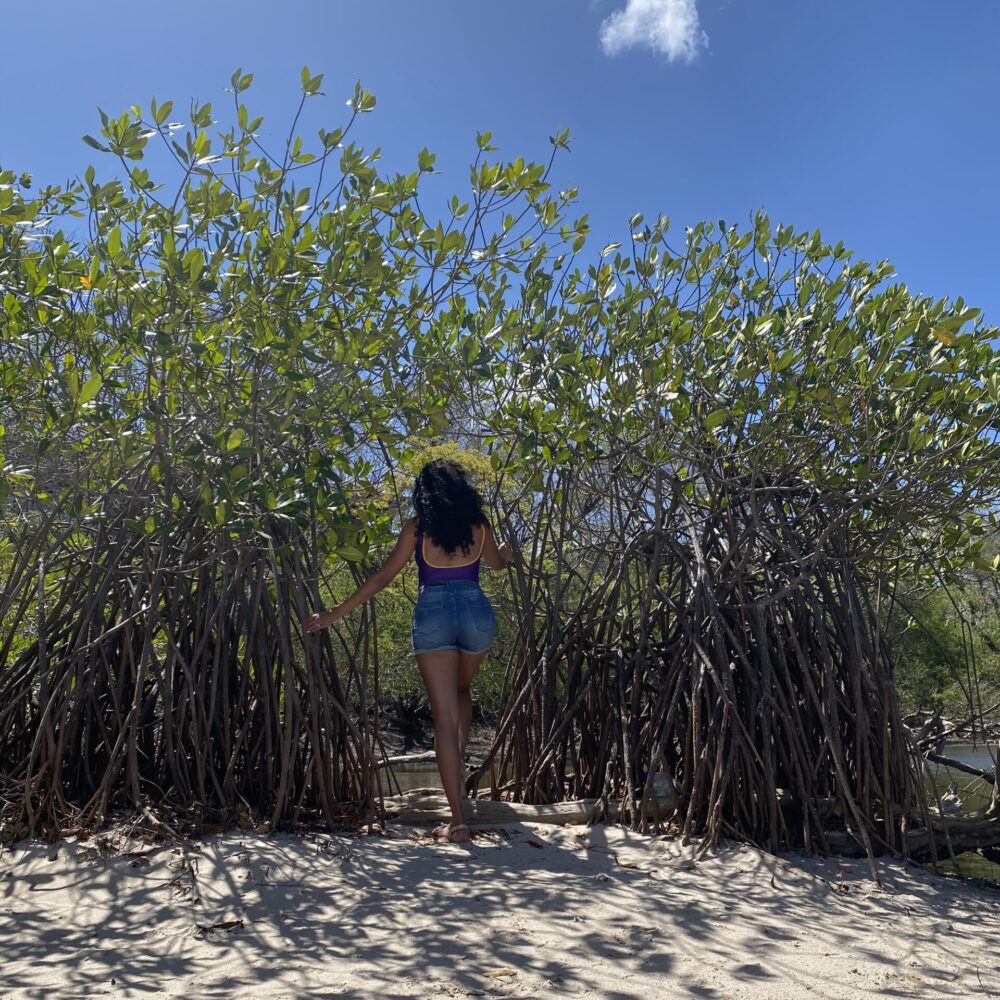 Costa Rica59
