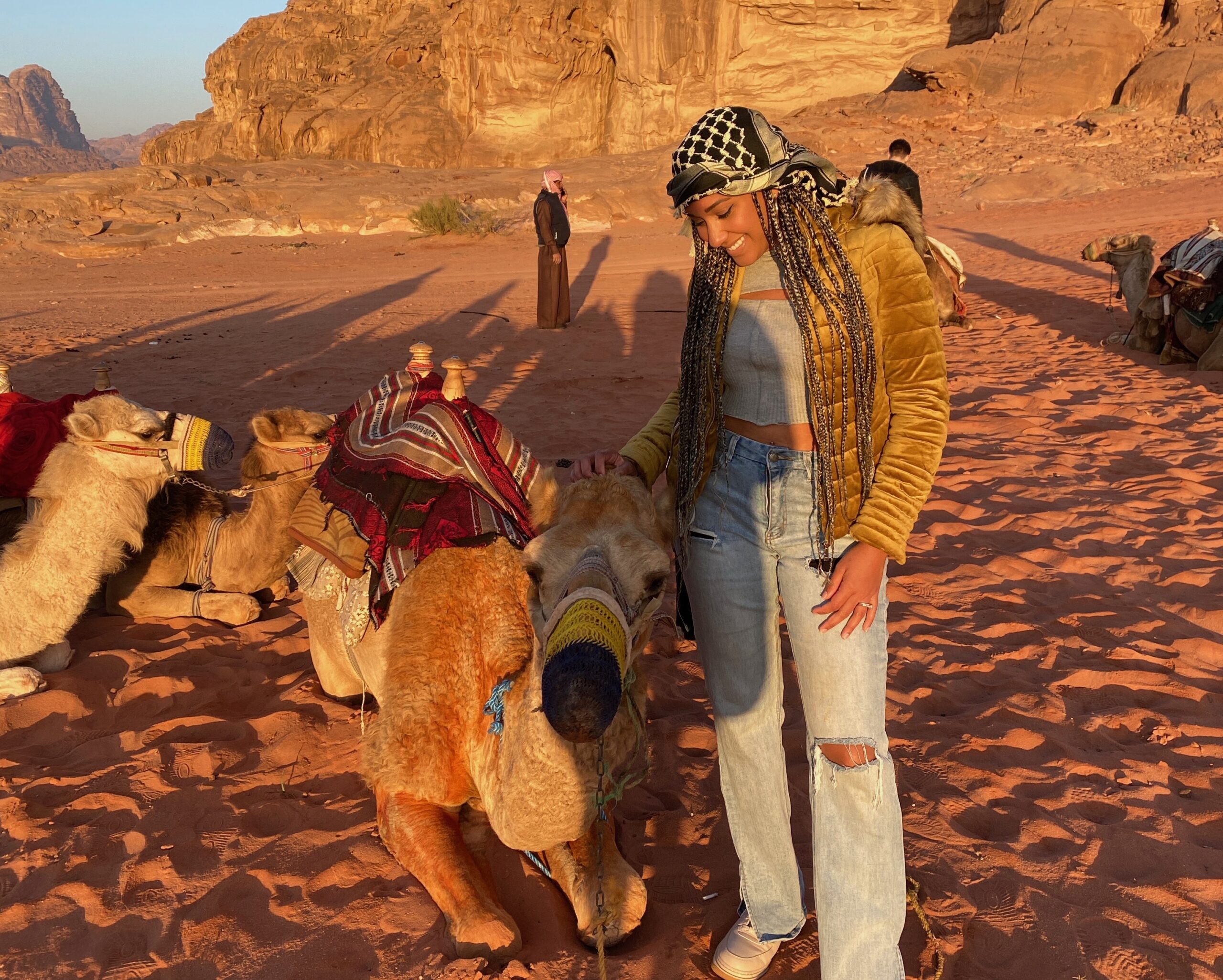 Jordan camel