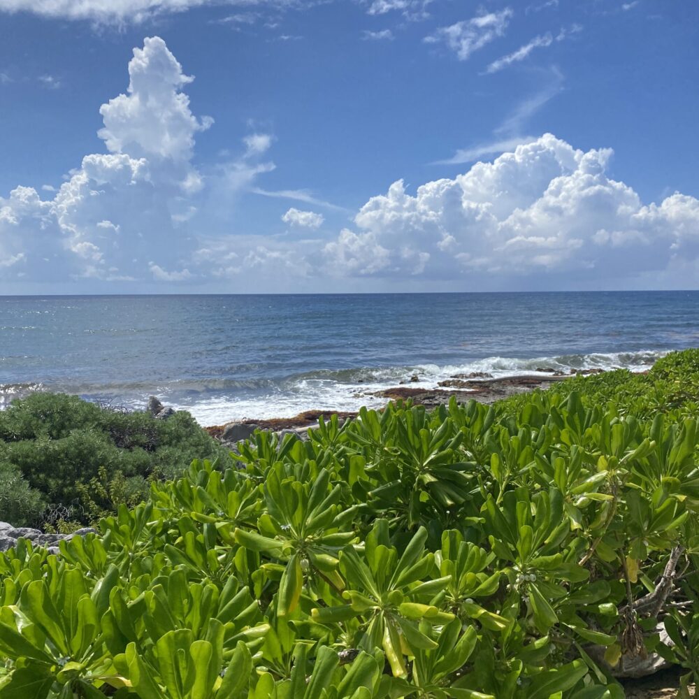 Tulum8